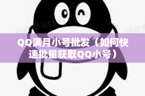 QQ满月小号批发（如何快速批量获取QQ小号）