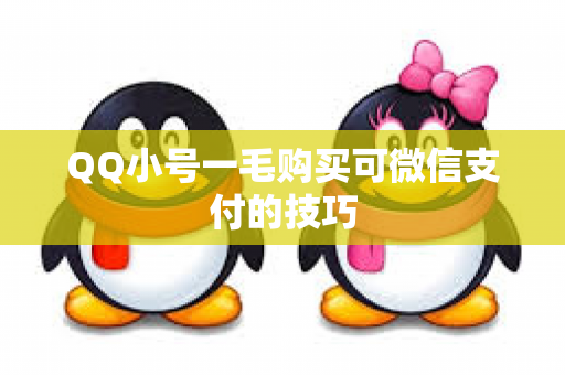 QQ小号一毛购买可微信支付的技巧